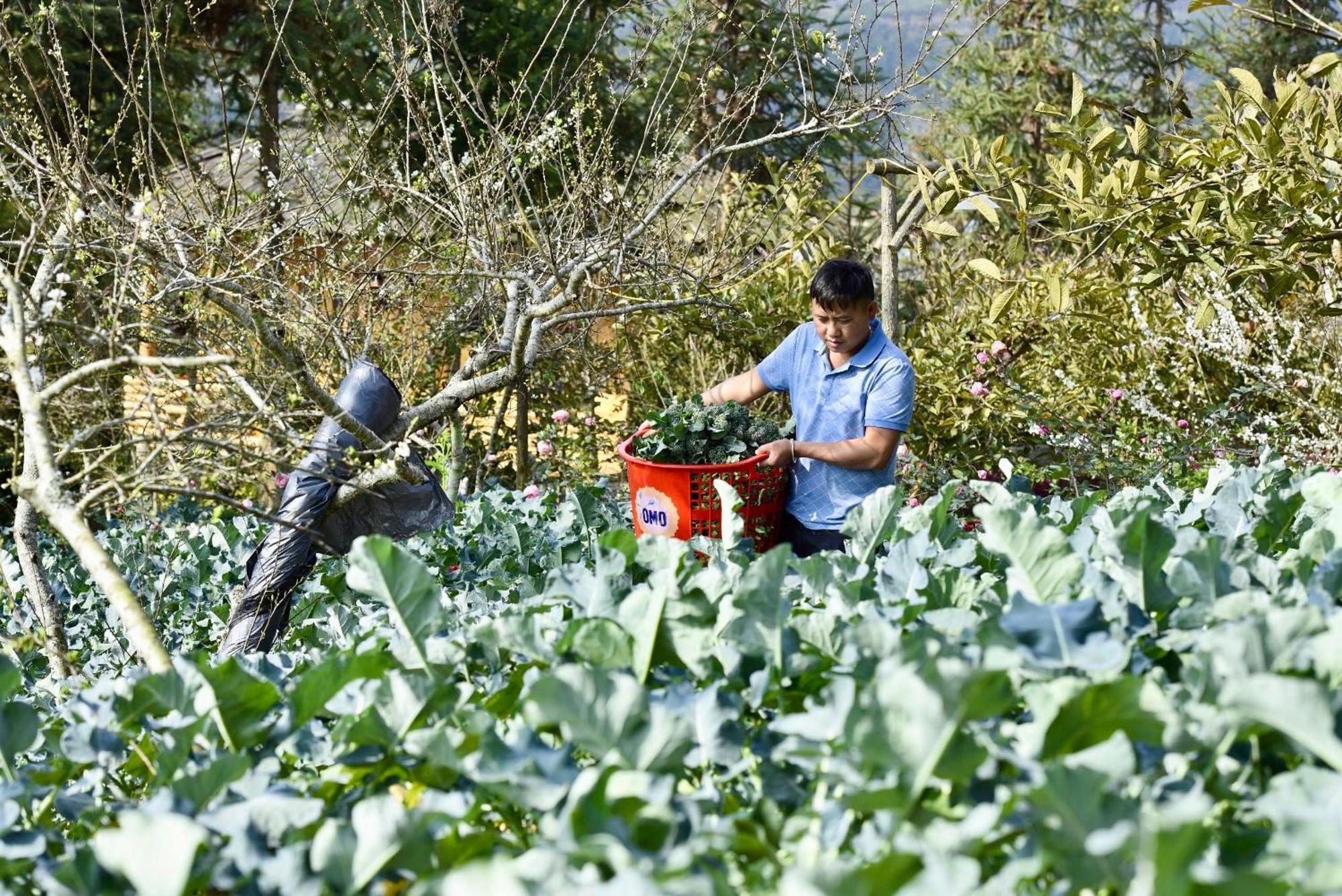 So H'Mong Homestay Bac Ha  Εξωτερικό φωτογραφία